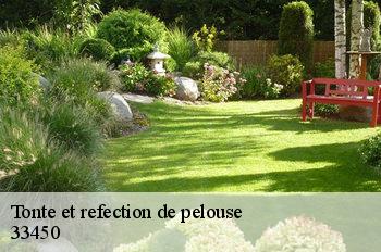 Tonte et refection de pelouse 33450