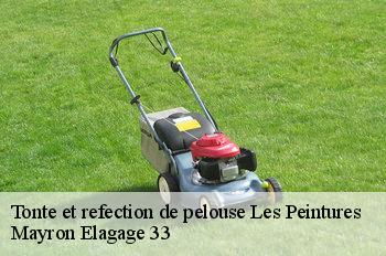 Tonte et refection de pelouse les-peintures-33230 Mayron Elagage 33