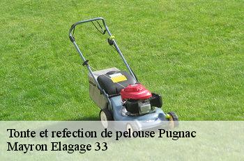 Tonte et refection de pelouse pugnac-33710 Mayron Elagage 33