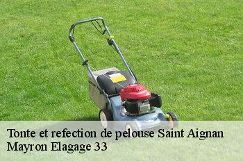 Tonte et refection de pelouse saint-aignan-33126 Mayron Elagage 33