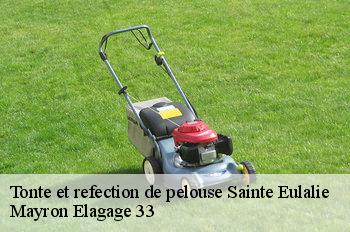 Tonte et refection de pelouse sainte-eulalie-33560 Mayron Elagage 33