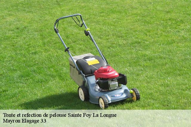 Tonte et refection de pelouse  sainte-foy-la-longue-33490 Mayron Elagage 33