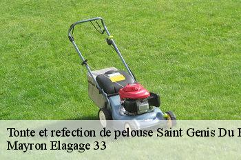Tonte et refection de pelouse saint-genis-du-bois-33760 Mayron Elagage 33