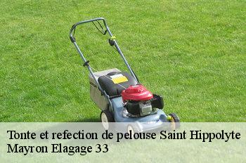 Tonte et refection de pelouse saint-hippolyte-33330 Mayron Elagage 33