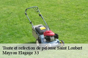 Tonte et refection de pelouse saint-loubert-33210 Mayron Elagage 33