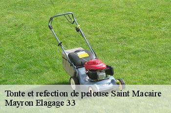 Tonte et refection de pelouse saint-macaire-33490 Mayron Elagage 33