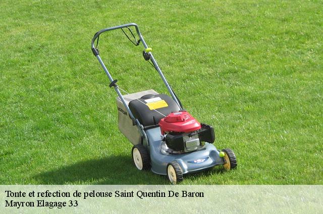 Tonte et refection de pelouse  saint-quentin-de-baron-33750 Mayron Elagage 33