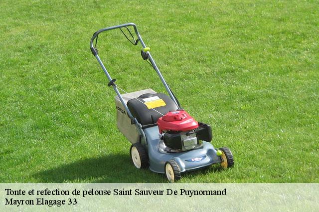 Tonte et refection de pelouse saint-sauveur-de-puynormand-33660 Mayron Elagage 33