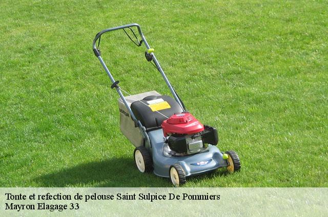 Tonte et refection de pelouse  saint-sulpice-de-pommiers-33540 Mayron Elagage 33