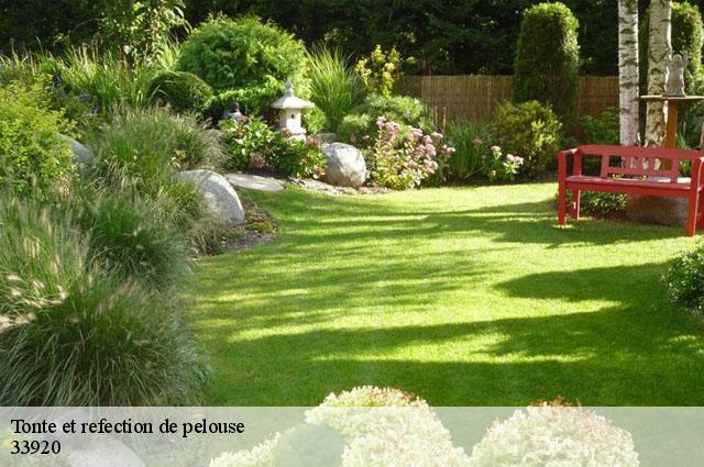 Tonte et refection de pelouse 33920