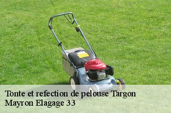 Tonte et refection de pelouse  targon-33760 Mayron Elagage 33