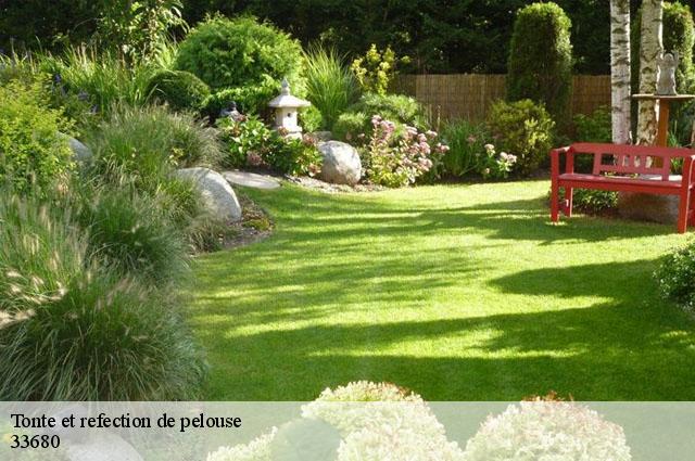 Tonte et refection de pelouse 33680