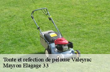 Tonte et refection de pelouse  valeyrac-33340 Mayron Elagage 33