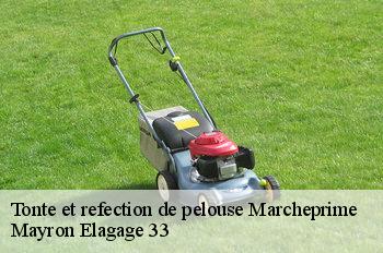 Tonte et refection de pelouse marcheprime-33380 Mayron Elagage 33