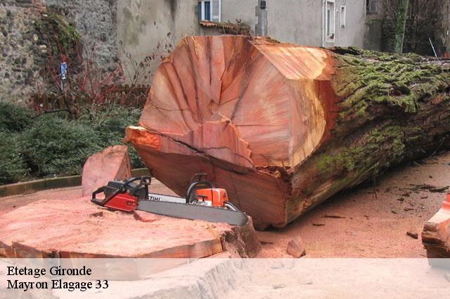 Etetage 33 Gironde Mayron Elagage 33