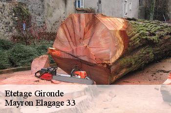 Etetage 33 Gironde  Mayron Elagage 33
