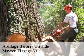 Abattage d'arbres 33 Gironde Mayron Elagage 33