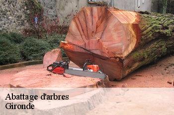 Abattage d'arbres Gironde