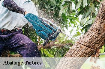 Abattage d'arbres