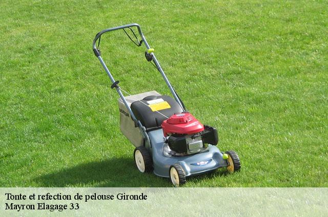 Tonte et refection de pelouse 33 Gironde  Mayron Elagage 33