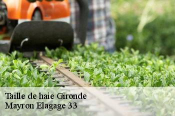 Taille de haie 33 Gironde Mayron Elagage 33