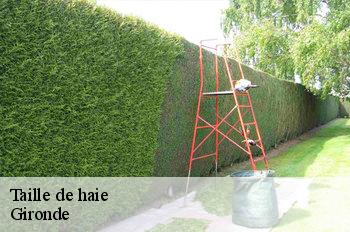 Taille de haie Gironde