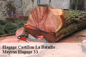 Elagage castillon-la-bataille-33350 Mayron Elagage 33