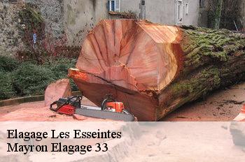 Elagage les-esseintes-33190 Mayron Elagage 33