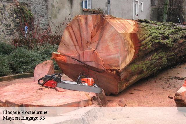Elagage roquebrune-33580 Mayron Elagage 33