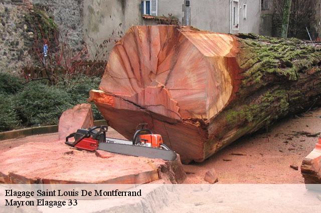 Elagage saint-louis-de-montferrand-33440 Mayron Elagage 33