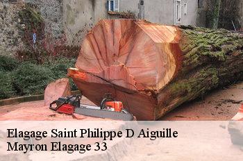 Elagage saint-philippe-d-aiguille-33350 Mayron Elagage 33