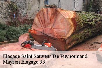 Elagage saint-sauveur-de-puynormand-33660 Mayron Elagage 33